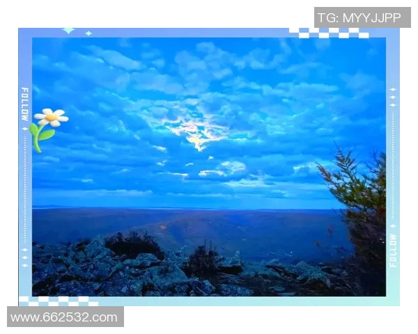 得比城流浪与代的交织之旅探索人与城市的情感纽带与归属感