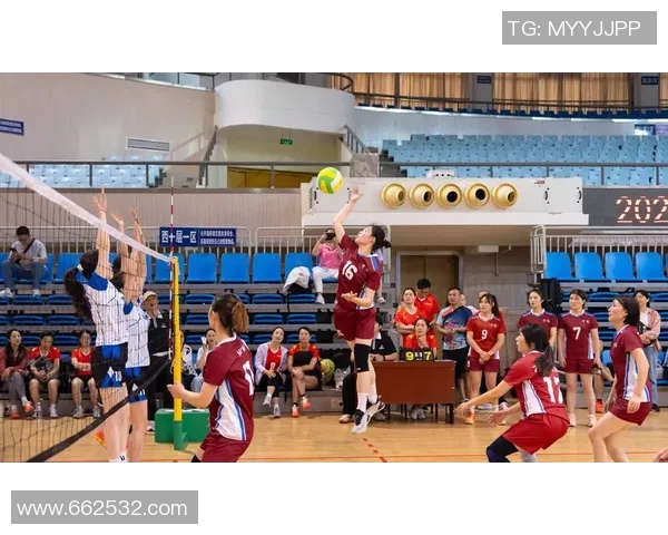 浙江队对决米纳斯队激情四溢的排球盛宴即将上演 浙江队对决米纳斯队激情四溢的排球盛宴即将上演