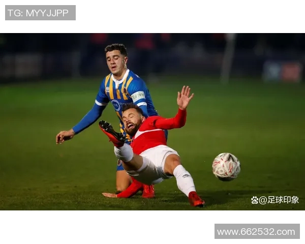 什鲁斯伯里对决分析与战术解析揭示球队未来发展潜力