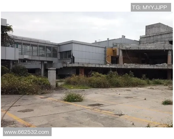 时代广州与广东东莞的城市发展对比与未来展望分析